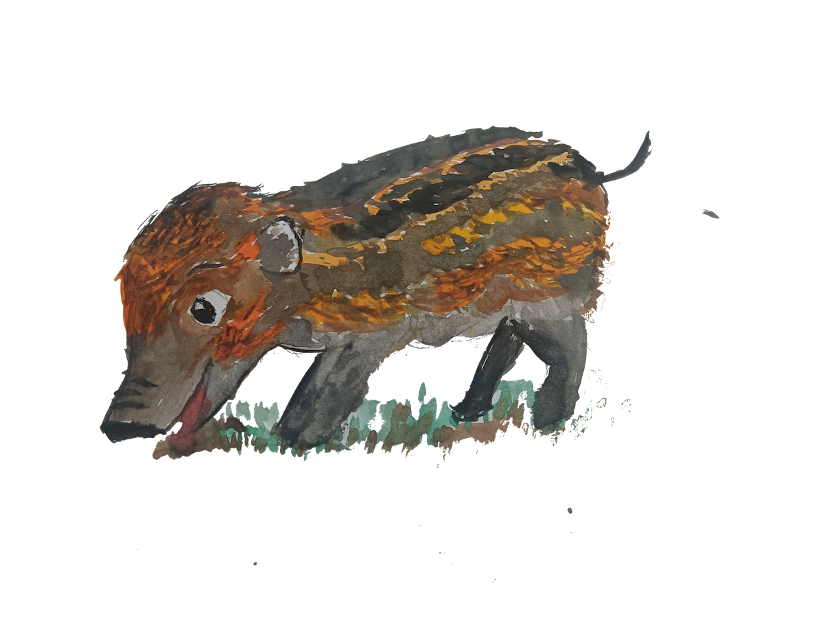 Warty Piglet